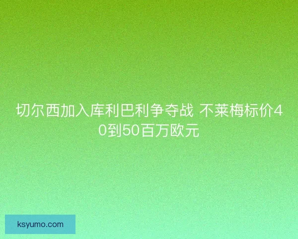 切尔西加入库利巴利争夺战 不莱梅标价40到50百万欧元